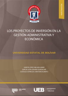 Cubierta para LOS PROYECTOS DE INVERSIÓN EN LA GESTIÓN ADMINISTRATIVA Y ECONÓMICA